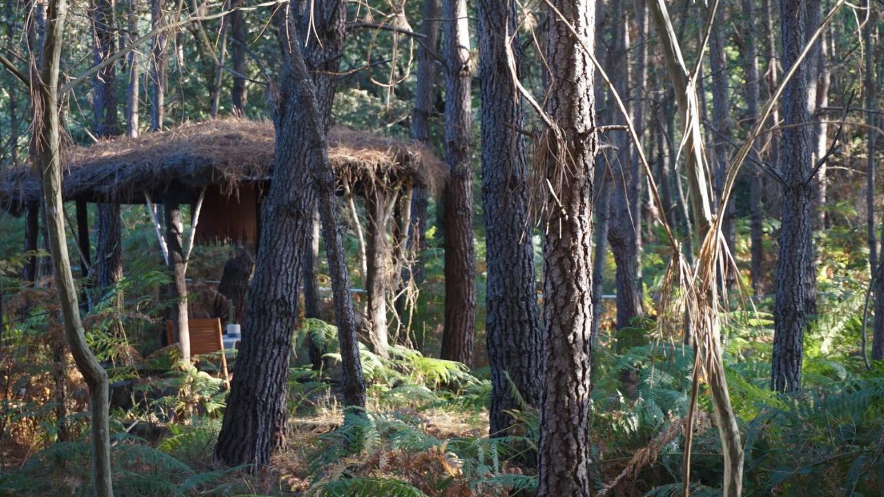 Les Landines Bed & Breakfast Origne  Eksteriør bilde
